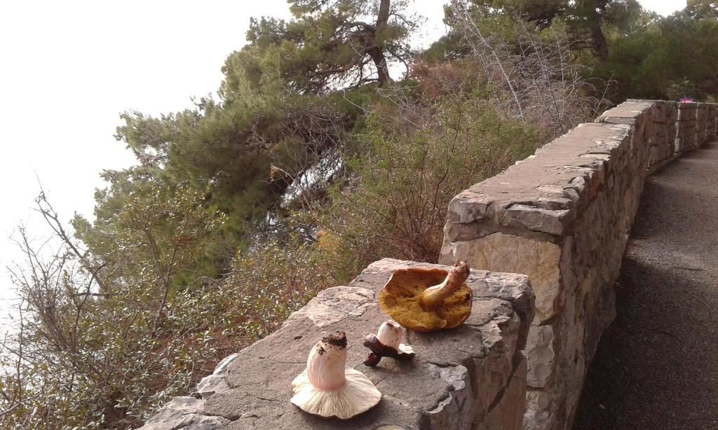 Апартаменты Вблизи у моря вдали от суеты Рафаиловичи-56